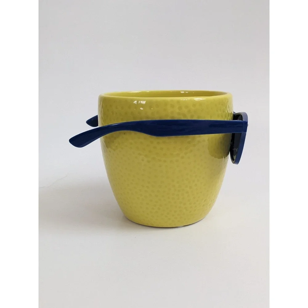 Trader Joes Cool Fruit Ceramic Novelty Planter Lime Sunglasses PLANT NOT INCLUD